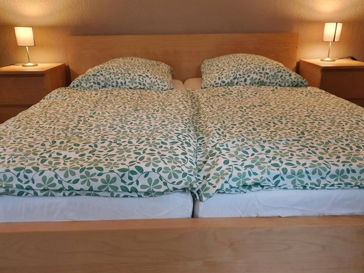 Grosse Ferienwohnung An Der Rheinpromenade Three 뒤스부르크 외부 사진